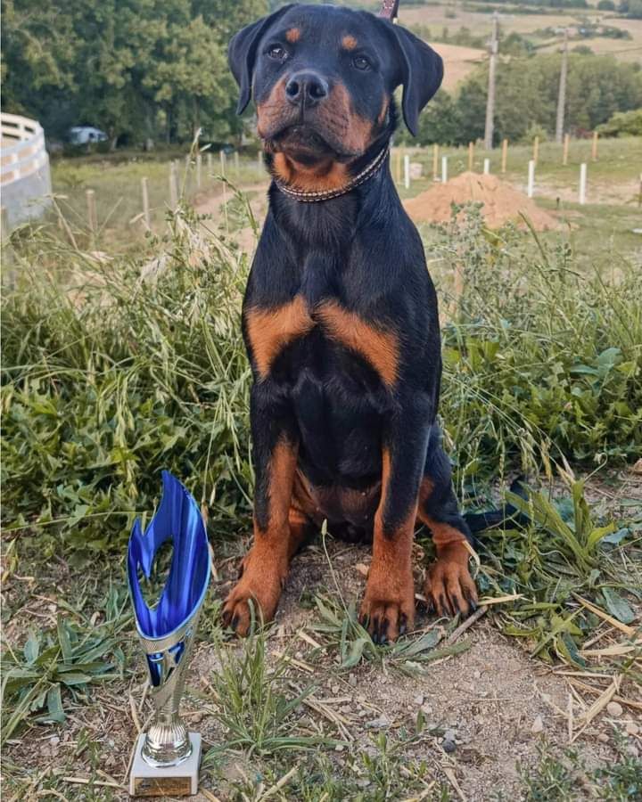 Urka Des Princes De L'albinol
