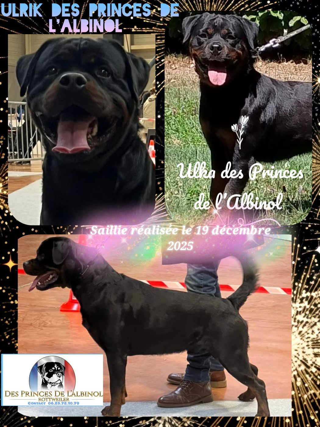 Des Princes De L'albinol - NOUVEAU MARIAGE (info)