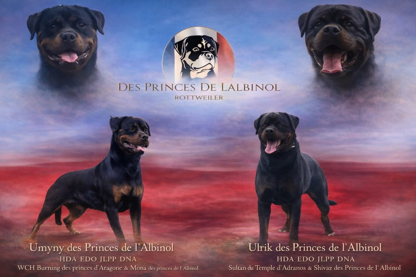 Réservations ouvertes