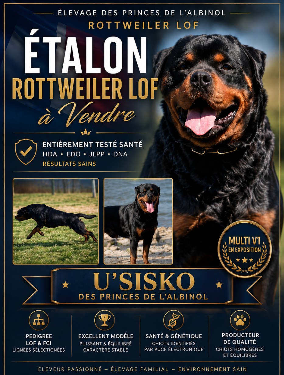 Proposer à la vente
