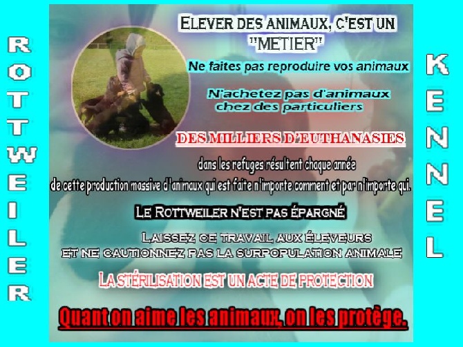 Des Princes De L'albinol - Plus qu'une passion !