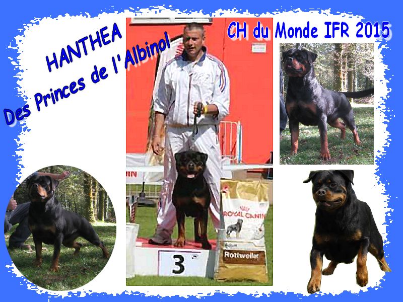 Des Princes De L'albinol - CH DU MONDE IFR 2015
