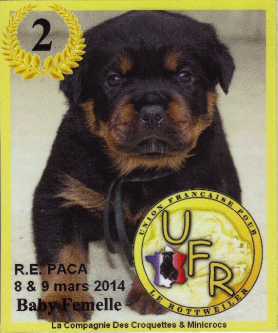 Des Princes De L'albinol - IBIZA VV2 CLASSE BABY RE AVIGNON 2014