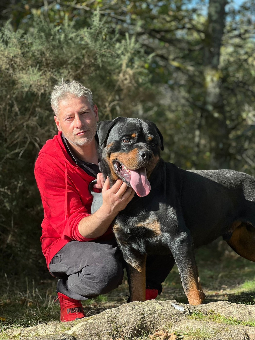 Des Princes De L'albinol