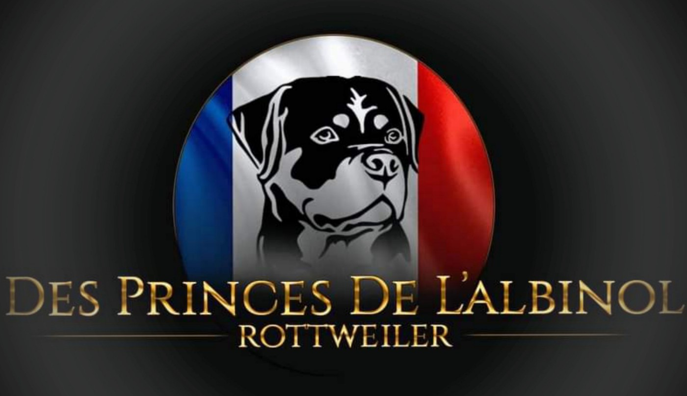 Des Princes De L'albinol